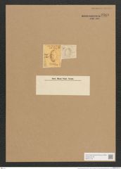 Cocconeis ornata Greg. (de-Toni-Nr.: Genus 40, Species 1801) Zeichnungen Sammlung Grunow Nr. 3588 (NHMW-BOT-W0371178)
